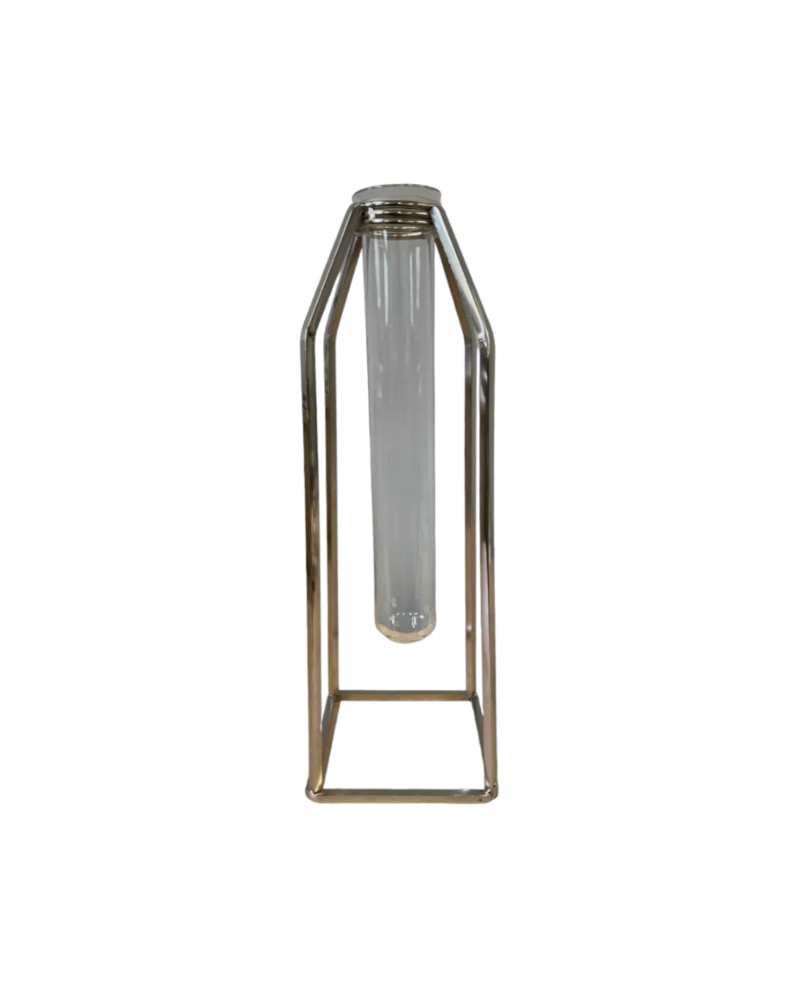 Single Oversized Test Tube Vase with Silver Stand