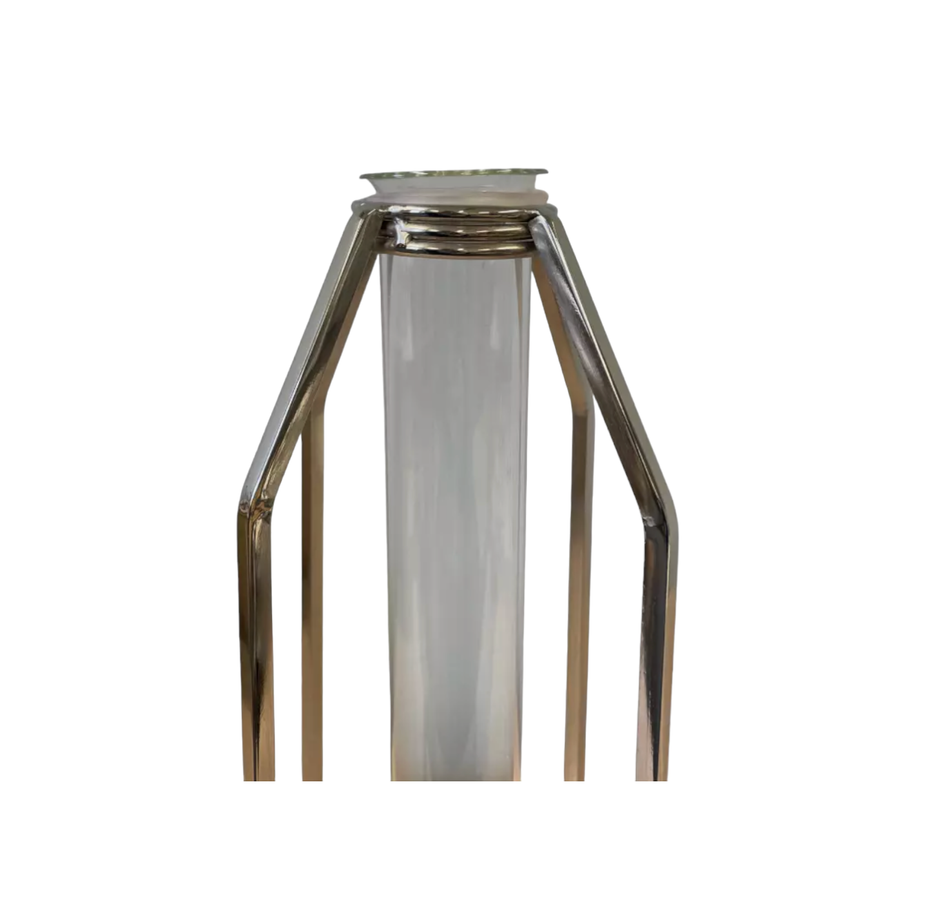 Single Oversized Test Tube Vase with Silver Stand